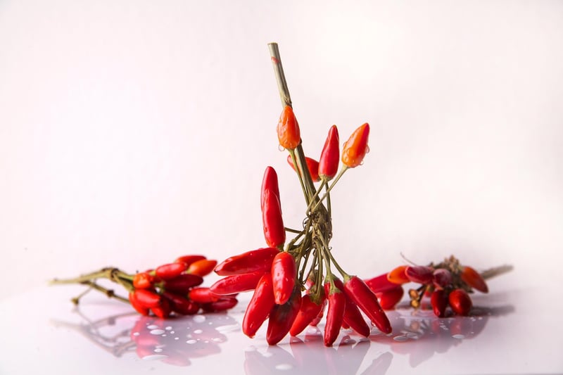 Chili Pepper